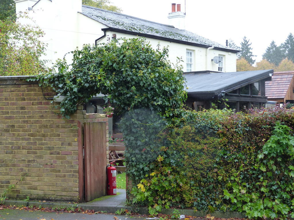 The Sun InnEnglefield Green エクステリア 写真
